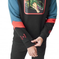 Sweat à capuche homme Dragon Ball Z Shenron