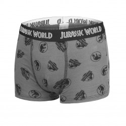 Lot de 5 Boxers coton garçon Jurassic World