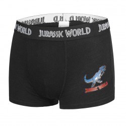 Lot de 5 Boxers coton garçon Jurassic World