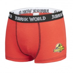 Lot de 5 Boxers coton garçon Jurassic World