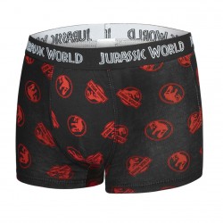 Lot de 5 Boxers coton garçon Jurassic World