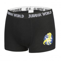 Lot de 5 Boxers coton garçon Jurassic World