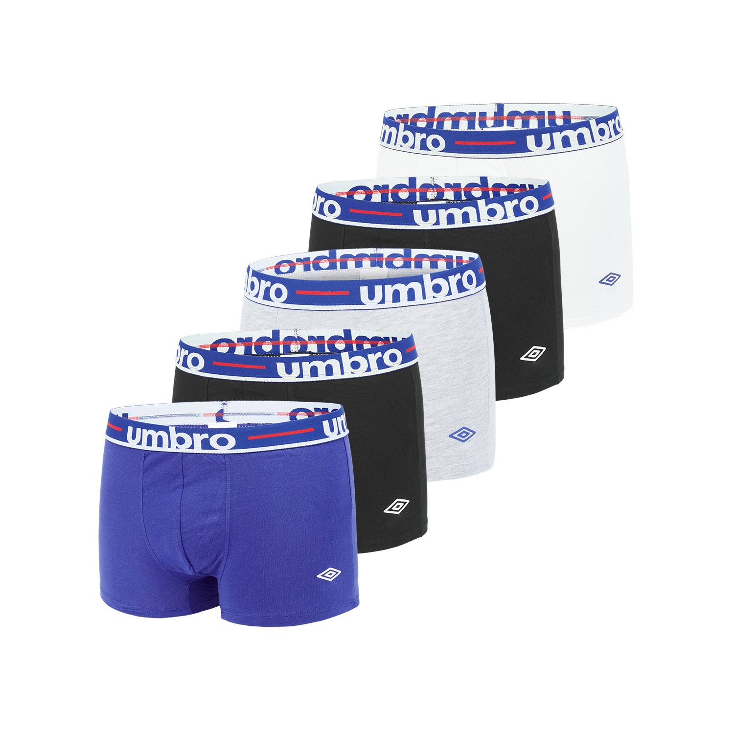 Lot de 5 Boxers coton homme Class Lot de 5 Boxers coton homme Class