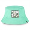 Bob One piece Zoro Bob One piece Zoro