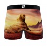 Lot de 4 Boxers garçon Landscape