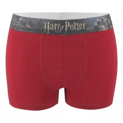 Lot de 4 Boxers coton homme Uni