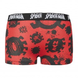 Lot de 3 Boxers coton garçon Spider