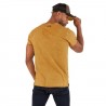 T-shirt col V homme en coton Tyron