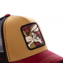 Casquette Homme Looney Tunes Coyote CapsLabs