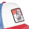 Casquette trucker avec filet DC Comics Joker