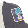 Casquette homme trucker Dragon Ball Z Vegito Capslab