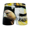 Lot de 5 boxers homme Wild Animals