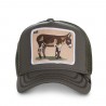 Casquette Baseball Goorin Bros Donkey Ass Kaki