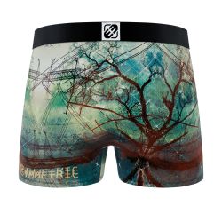 Lot de 4 boxers homme Landscape