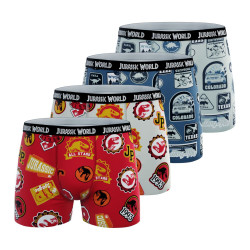Lot de 4 boxers enfant...