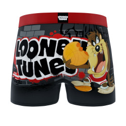 Lot de 4 boxers homme Looney Tunes