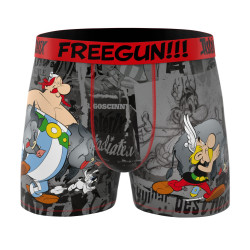 Lot de 4 boxers enfant Asterix