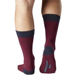 Lot de 3 Paires de Chaussettes de ville coton homme peigné doux