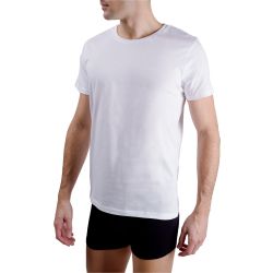 Lot de 2 t-shirts homme col rond avec broderie sur la poitrine