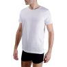 Lot de 2 t-shirts homme col rond avec broderie sur la poitrine Lot de 2 t-shirts homme col rond avec broderie sur la poitrine