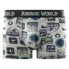 Lot de 4 boxers enfant Jurassic