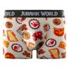 Lot de 4 boxers enfant Jurassic