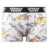 Lot de 4 boxers enfant Looney Tunes