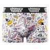 Lot de 4 boxers enfant Looney Tunes
