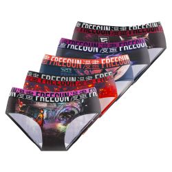 Lot de 5 culottes femme Fantasy