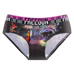 Lot de 5 culottes femme Fantasy