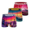 Lot de 3 boxers junior collection World Painting