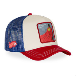 Casquette trucker avec filet DC Comics Above All