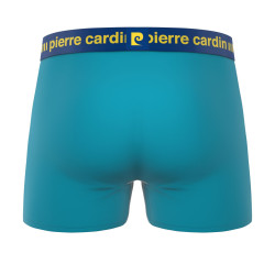Lot de 4 boxers Soft Touch homme colorés modèle Karl